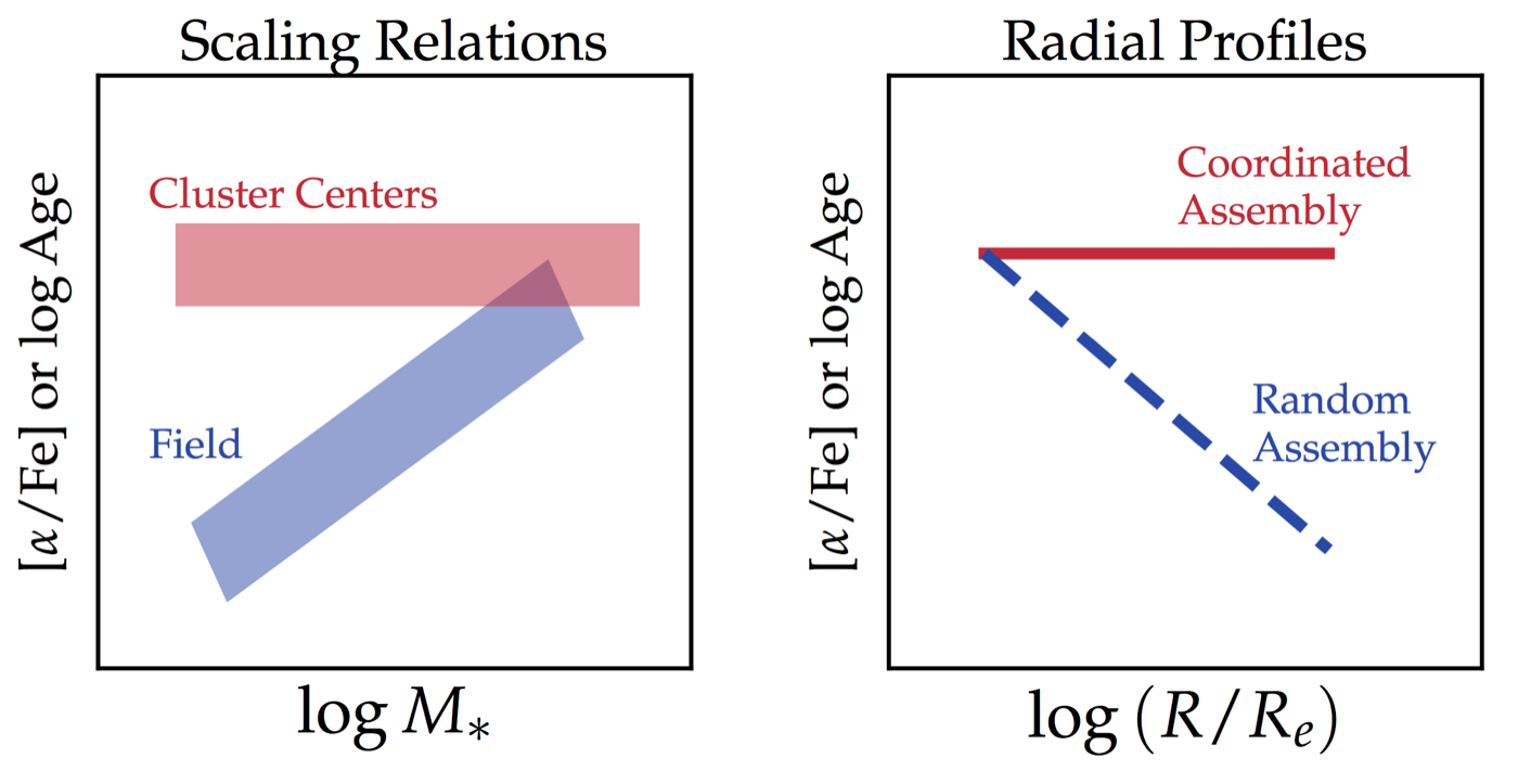 Stellar population analysis of brightest cluster galaxy assembly in Abell 3827